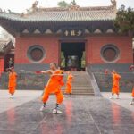 Private tour to Shaolin Monastery & Longmen Grottoes from Xi'an by Bullet Train - Practical Details and What You Can Expect