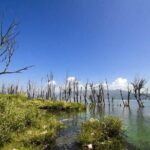 Private tour to Xizhou old town local market Erhai lake three Pagodas from Dali - Who Will Enjoy This Tour?