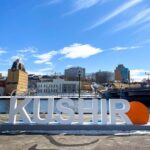 Private Tour with Kushiro Marsh, Tancho, and Local Market - The Value of This Tour: Breaking Down the Cost