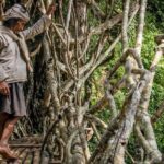 Private tour with lunch: Jakarta to Baduy tribal - Who Will Love This Tour?