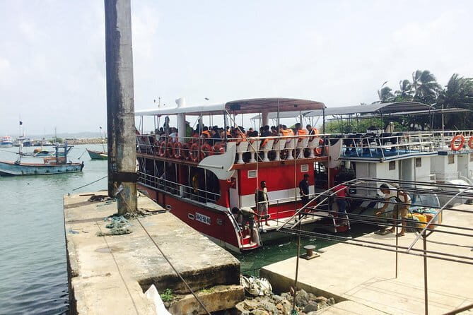 Private Transfer and Whale Watching Tour from Hikkaduwa and Galle - Who Should Consider This Tour?