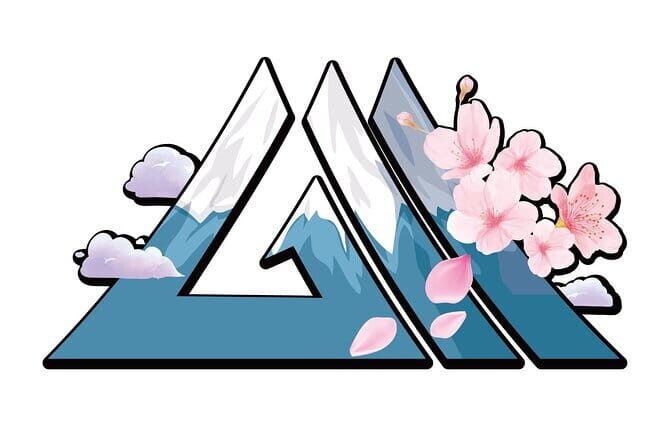 Private Transfer between KIX Airport and Osaka City - Final Thoughts