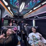 Private Transfer Dcar Limousine Ha Noi - Ha Long - Why This Private Transfer Excels