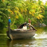 Private Transfer from Cochin to Alleppey or Kumarakom Hotel - Final Thoughts: Why This Transfer Is Worth It