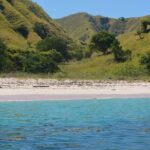 Private Transfer from Jakarta Airport (CGK) to Sukarasa Tangerang - The Itinerary: What to Expect?