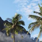 Private Transfer from Phuket to Krabi with 2h of Sightseeing - The Experience Breakdown