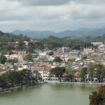 Private Transfer from Sri Lanka Colombo Airport (CMB) to Tissamaharama - Who Is This Transfer Best For?