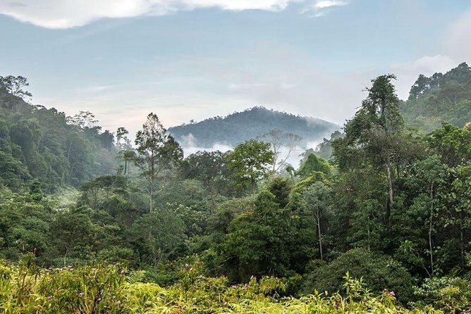 Private Transfer: Kuala Lumpur to Taman Negara National Park (Kuala Tahan Jetty) - The Sum Up