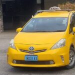 Private Transfer Nadi Airport and Coral Coast Korolevu Fiji - In-Depth Look at the Services Features