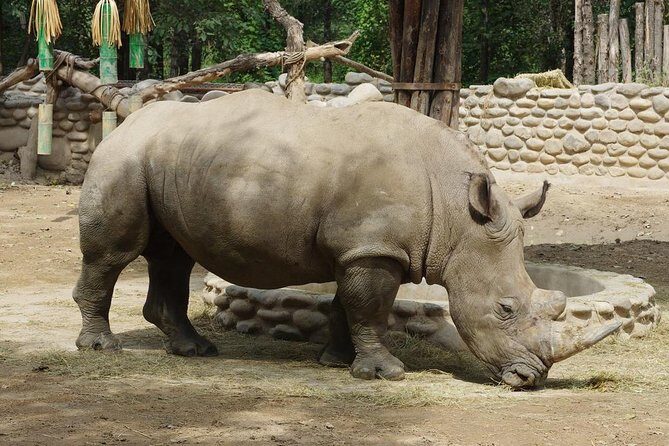 Private Transfer to Beijing Wildlife Park with Self-driving Ride Inside - What the Price Includes and Excludes