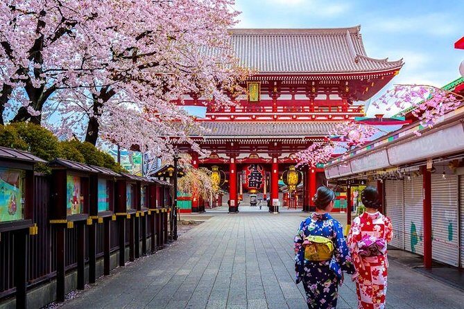 Private Transfer: Tokyo to Haneda Airport HND in Luxury Van - Why Choose This Private Transfer?