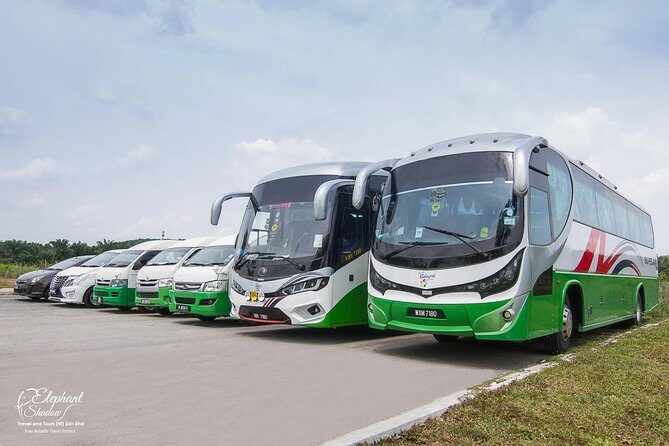 Private transfers from Kuala Lumpur International Airport to your Hotel - What Travelers Say & Additional Insights