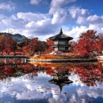 Private transport for 1 day Seoul tour - Authentic Experiences and Practical Tips