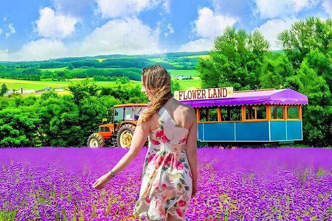 Private Transport in Hokkaido with English Speaking Driver - What Makes This Tour Stand Out?