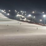 Private Trip to Nami Island and Ski Resort - What’s Included and What’s Not