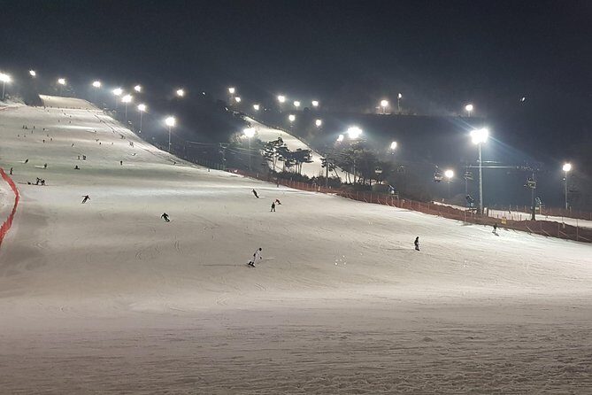 Private Trip to Nami Island and Ski Resort - What’s Included and What’s Not