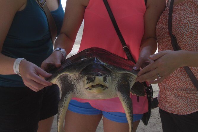 Private Tuk-Tuk Village Tour - From Bentota Hotels - What travelers should know