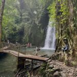 Private Ubud Tour: Sacred Monkeys, Coffee, Temple, Waterfall - Sacred Monkey Forest Sanctuary