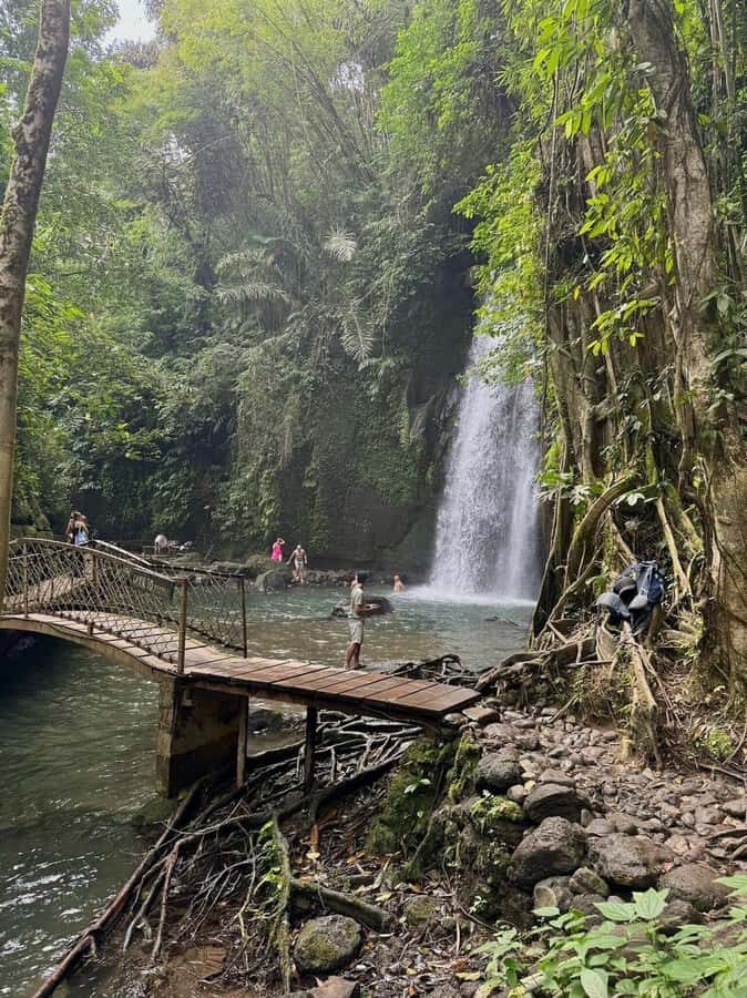 Private Ubud Tour: Sacred Monkeys, Coffee, Temple, Waterfall - Sacred Monkey Forest Sanctuary