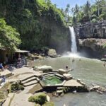 Private Ubud Tour Temples Rice Terraces and Waterfalls - Why This Tour Offers Good Value