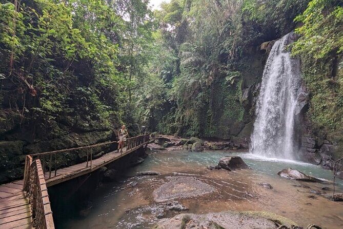 Private Ubud Tour with Monkey Forest and Waterfall - A Deep Dive into the Itinerary