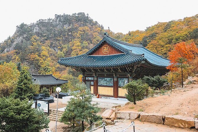 Private Van to Mt Seorak, Sokcho, Naksansa & more (Up to 14 pax) - Who Will Love This Tour?