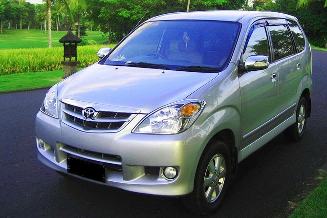 Private Vehicle with Driver at Bali free & easy-5 Hours - Booking and Confirmation