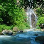 Private VIP Tour of Glass Bridge & Yellow Dragon Cave - What Makes This Tour Stand Out?