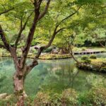 Private walking Tour: A Kanazawa Garden Exploration - An In-Depth Look at the Kanazawa Garden Tour