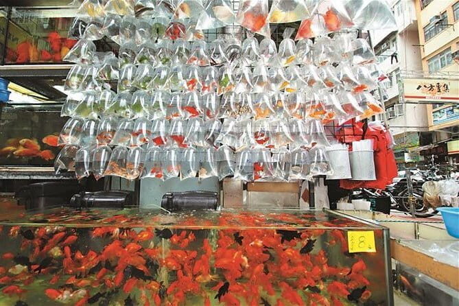 Private Walking Tour: Hong Kong Local Markets Hopper - An In-Depth Look at the Hong Kong Markets Hopper Tour