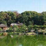 Private Walking Tour of Tokyo with a water bus ride - Practical Considerations and Tips