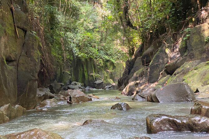 Private Waterfall Tour and Blue Lagoon Snorkeling in Padang Bai - Who Will Love This Tour?