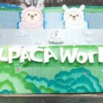 Private Winter Blossom Photo Tour with Free Photo Service - Who Would Love This Tour?