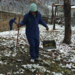 Private Wolong Panda Base and Earthquake Site Day Tour - Practical Details and Experience Tips