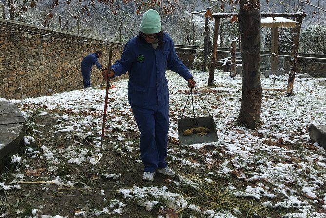 Private Wolong Panda Base and Earthquake Site Day Tour - Practical Details and Experience Tips