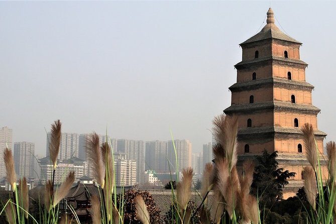 Private Xi'an 2-Day Tour from Shanghai with Deluxe Soft Sleeper Train Experience - What Does the Tour Cover in Terms of Value?