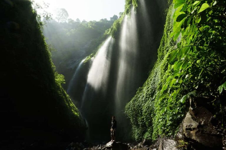 Probolinggo: Private Madakaripura Waterfall Mist & Cliffs - The Trek: Jungle Paths, Streams, and Boulders