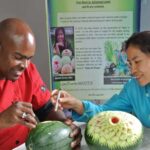 Professional 3-hour Thai Fruit and Vegetable Carving Class - What to Expect from the Carving Class