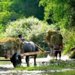 Pu Luong 2 Days 1 Night from Hanoi - The Value of the Tour