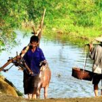 Pu Luong Afternoon Stroll Rice Fields Weaving and Local Life - Journey Through the Rice Fields and Village Life