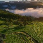 Pu Luong Classic Trekking Tour 2 Days 1 Night from Mai Chau - Why the Experience Is Worth It