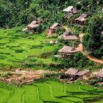 Pu Luong Day Trip from Hanoi (Lunch, Caving, Walking and Biking) - Who Will Love This Tour?