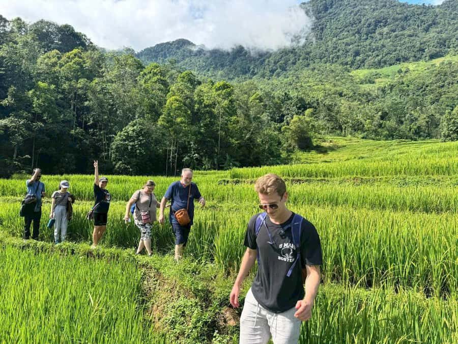 Pu Luong: Half-Day Trekking Tour with Local Guide - Who Should Consider This Tour?