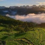 Pu Luong Nature Reserve & Ninh Binh Escape 3 Days Tour From Hanoi - Authentic Experiences from Past Travelers