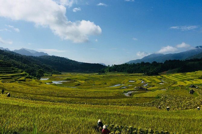 Pu Luong Offbeat Trekking Tour 2 Days 1 Night from Hanoi - Accommodation and Meals: Comfort in the Heart of Nature