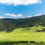 Pudacuo White Water Terrace and Tiger Leaping Gorge Private Tour - What to Expect from the Tour Experience