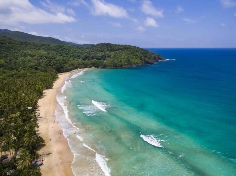 Puerto Princesa: Farm, Beach, and Weaving Day Tour - Discovering the Puerto Princesa Countryside