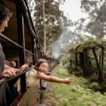Puffing Billy, Forest Trails & Yarra Valley Discovery Tour - Practical Details and Value