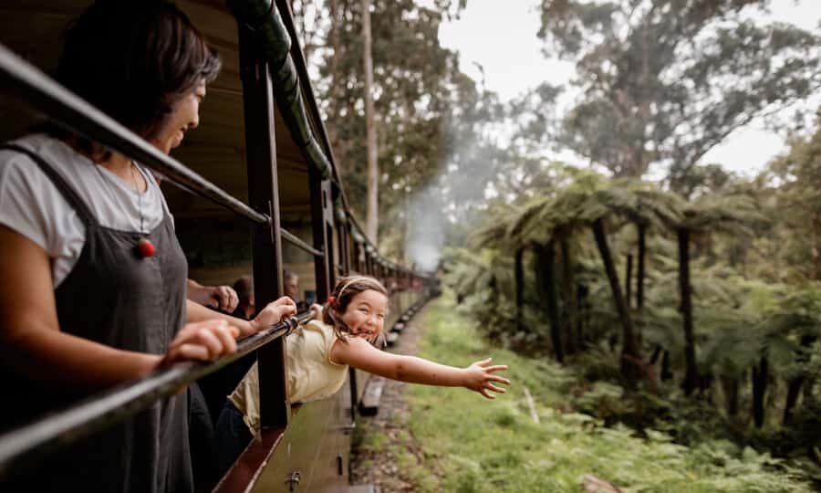 Puffing Billy, Forest Trails & Yarra Valley Discovery Tour - Practical Details and Value