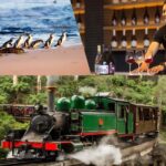 Puffing Billy Penguin Parade Mercedes Minibus Hotel Pickup - What Makes This Tour Stand Out?